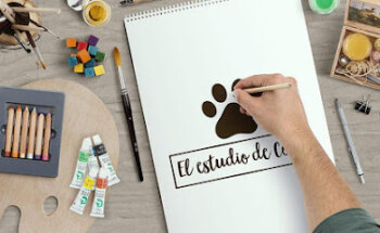 El estudio de Coco