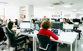 BIGSEO