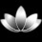Exlyum