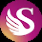 Swing Strategies SL