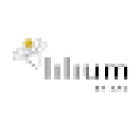 Lilium By APS