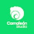 Camaleón Studio | Agencia de Comunicación
