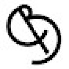 Blog Consultor