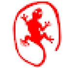Gecko Social Media