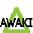 awakicheapideas
