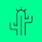 Cactus Disseny