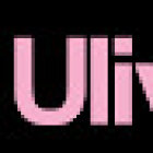 Ulivieri Studio