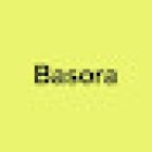 Basora