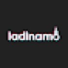 Ladinamo Advertising Agency