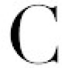 Concept Agency