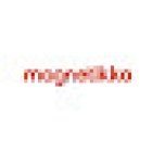 Magnetikko - Agencia de Marketing Online