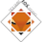 Square Fox Studio