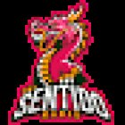 Sentido Radio