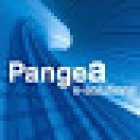 Pangea e-Solutions