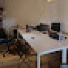 Webs Wordpress