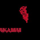 Akamai Media