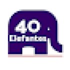 40 Elefantes - Agencia SEO Sabadell