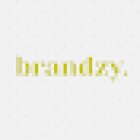 Brandzy Diseño Web