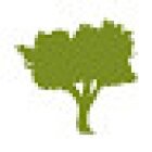 Olivo Consulting