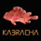 Kabracha