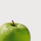 APPLE TREE