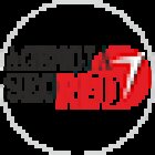 Agencia Seo Red Madrid