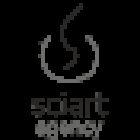 SciArt Agency